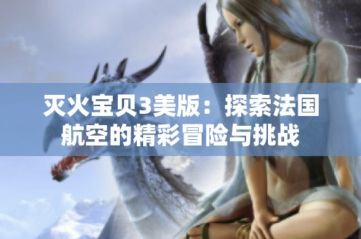 灭火宝贝3美版：探索法国航空的精彩冒险与挑战