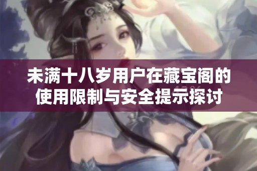 未满十八岁用户在藏宝阁的使用限制与安全提示探讨