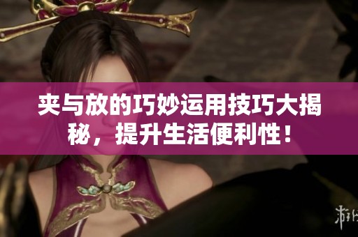 夹与放的巧妙运用技巧大揭秘，提升生活便利性！