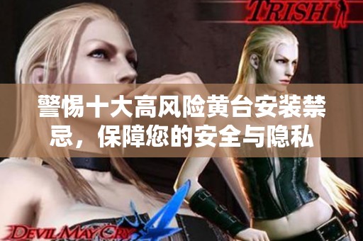 警惕十大高风险黄台安装禁忌，保障您的安全与隐私