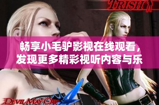 畅享小毛驴影视在线观看，发现更多精彩视听内容与乐趣