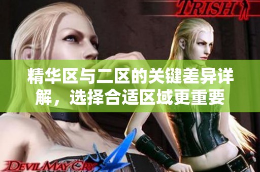 精华区与二区的关键差异详解，选择合适区域更重要