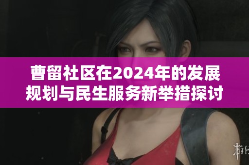 曹留社区在2024年的发展规划与民生服务新举措探讨
