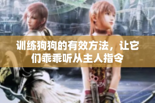 训练狗狗的有效方法，让它们乖乖听从主人指令