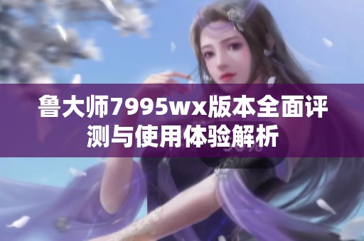 鲁大师7995wx版本全面评测与使用体验解析