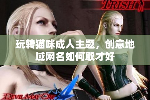 玩转猫咪成人主题，创意地域网名如何取才好