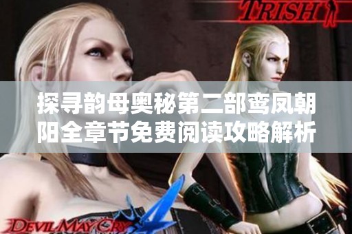 探寻韵母奥秘第二部鸾凤朝阳全章节免费阅读攻略解析