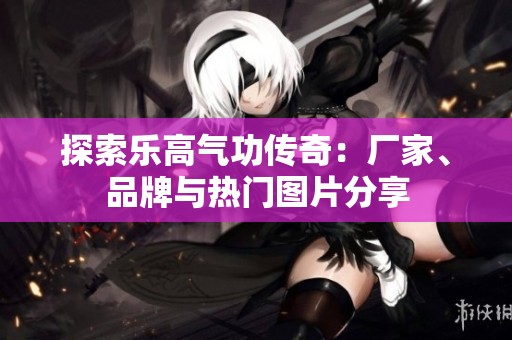 探索乐高气功传奇：厂家、品牌与热门图片分享
