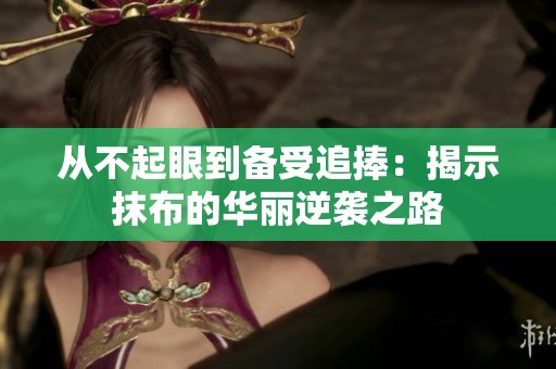 从不起眼到备受追捧：揭示抹布的华丽逆袭之路