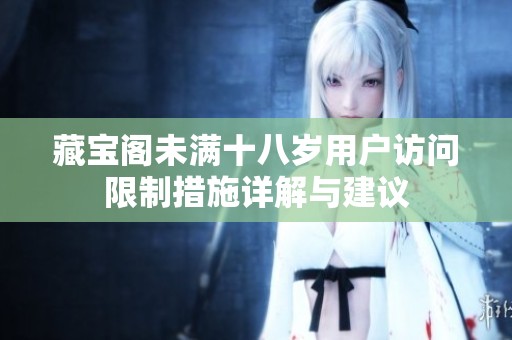 藏宝阁未满十八岁用户访问限制措施详解与建议