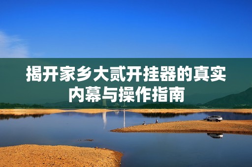 揭开家乡大贰开挂器的真实内幕与操作指南