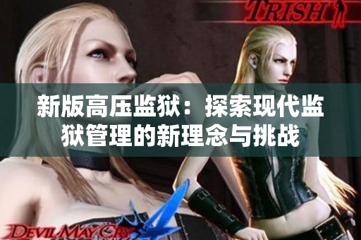 新版高压监狱：探索现代监狱管理的新理念与挑战