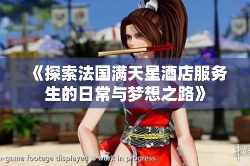 《探索法国满天星酒店服务生的日常与梦想之路》