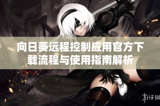 向日葵远程控制应用官方下载流程与使用指南解析