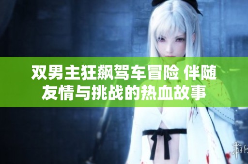 双男主狂飙驾车冒险 伴随友情与挑战的热血故事