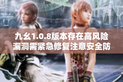 九幺1.0.8版本存在高风险漏洞需紧急修复注意安全防护