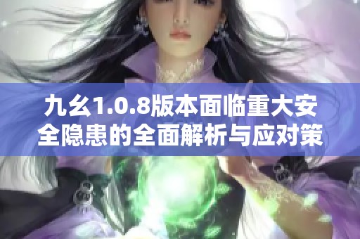 九幺1.0.8版本面临重大安全隐患的全面解析与应对策略