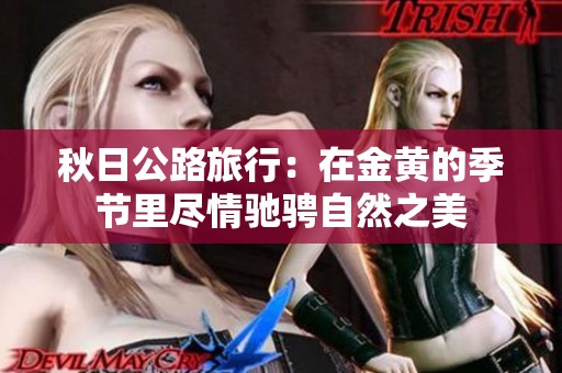 秋日公路旅行：在金黄的季节里尽情驰骋自然之美