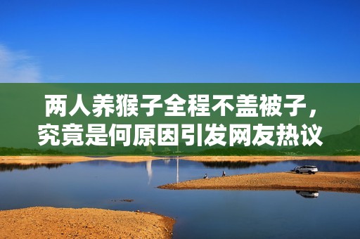 两人养猴子全程不盖被子，究竟是何原因引发网友热议