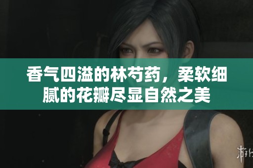 香气四溢的林芍药，柔软细腻的花瓣尽显自然之美