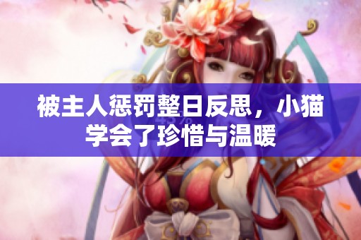 被主人惩罚整日反思，小猫学会了珍惜与温暖
