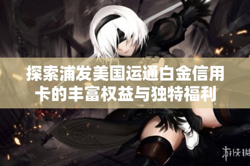 探索浦发美国运通白金信用卡的丰富权益与独特福利