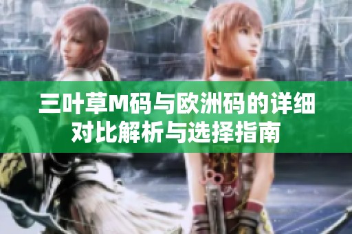 三叶草M码与欧洲码的详细对比解析与选择指南