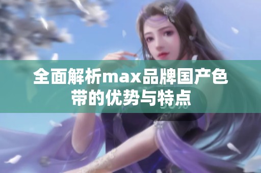 全面解析max品牌国产色带的优势与特点
