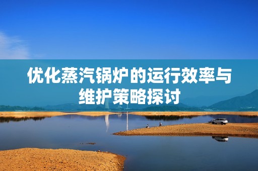 优化蒸汽锅炉的运行效率与维护策略探讨
