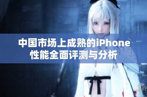 中国市场上成熟的iPhone性能全面评测与分析