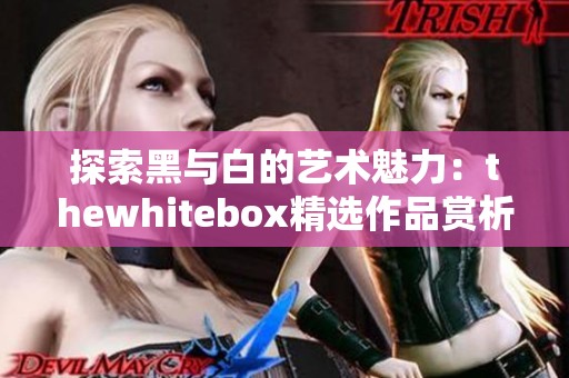 探索黑与白的艺术魅力：thewhitebox精选作品赏析