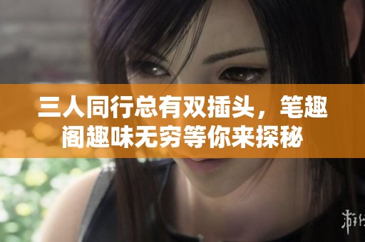 三人同行总有双插头，笔趣阁趣味无穷等你来探秘