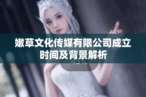 嫩草文化传媒有限公司成立时间及背景解析