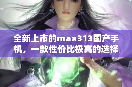全新上市的max313国产手机，一款性价比极高的选择