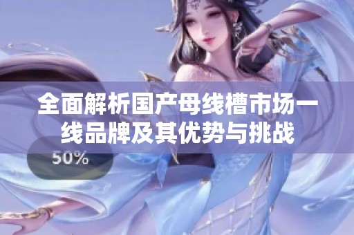 全面解析国产母线槽市场一线品牌及其优势与挑战
