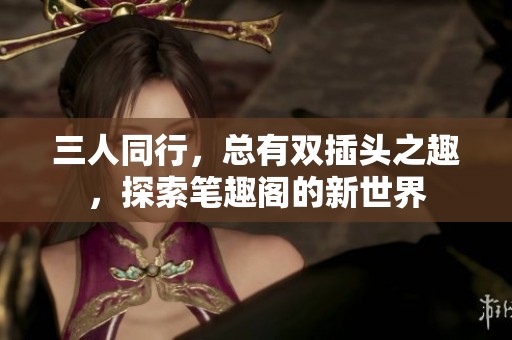 三人同行，总有双插头之趣，探索笔趣阁的新世界