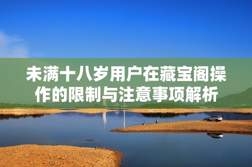 未满十八岁用户在藏宝阁操作的限制与注意事项解析