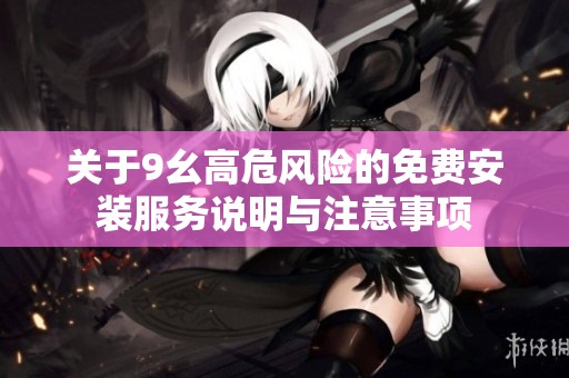 关于9幺高危风险的免费安装服务说明与注意事项