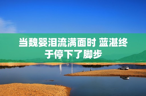 当魏婴泪流满面时 蓝湛终于停下了脚步