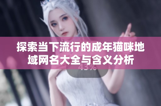 探索当下流行的成年猫咪地域网名大全与含义分析