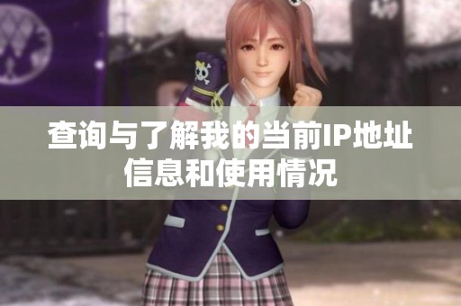 查询与了解我的当前IP地址信息和使用情况