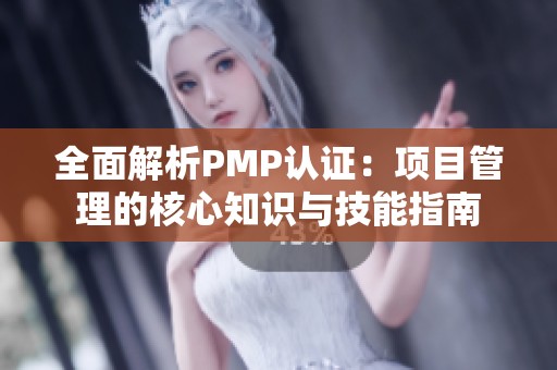 全面解析PMP认证：项目管理的核心知识与技能指南