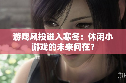 游戏风投进入寒冬：休闲小游戏的未来何在？
