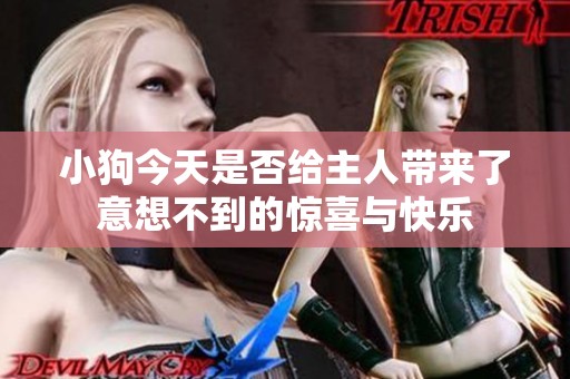 小狗今天是否给主人带来了意想不到的惊喜与快乐