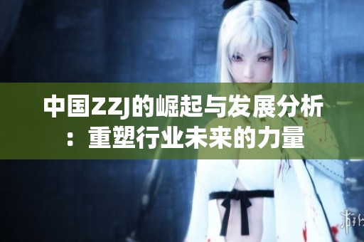 中国ZZJ的崛起与发展分析：重塑行业未来的力量