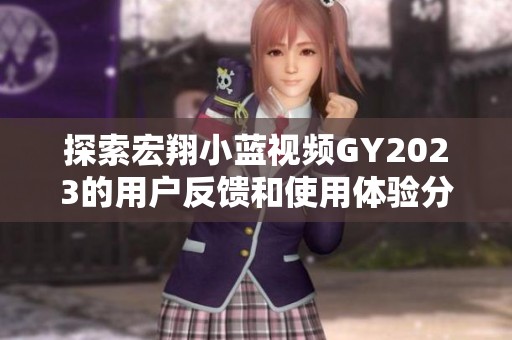 探索宏翔小蓝视频GY2023的用户反馈和使用体验分析