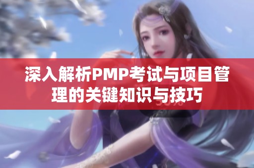 深入解析PMP考试与项目管理的关键知识与技巧