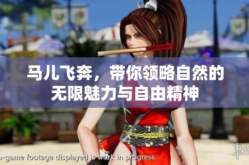 马儿飞奔，带你领略自然的无限魅力与自由精神