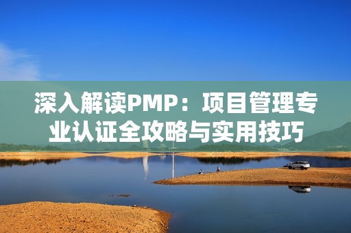 深入解读PMP：项目管理专业认证全攻略与实用技巧