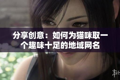 分享创意：如何为猫咪取一个趣味十足的地域网名